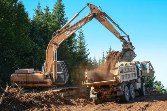 RockBet Casino Assistance